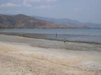 /album/dili-/dili-timor-2012-6-jpg/